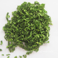 hot sell dehydrated AD dried Green onion